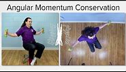 Conservation of Angular Momentum Introduction and Demonstrations