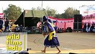 Gatka dance warm-up by young Nihang warriors - Anandpur Sahib, Punjab
