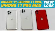 iPhone 11, iPhone 11 Pro, iPhone 11 Pro Max First Look: Here’s What’s New