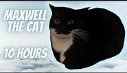 Maxwell the Cat Theme 10 Hours