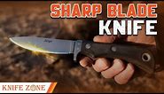 Top 10 Sharp Fixed Blade Knives You Must See!