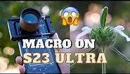 Unlock Macro Photography with the Samsung S23 ULTRA!