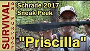 Schrade SCHMBS Priscilla Brush Sword - Machete - 2017 Sneak Peek