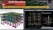 Structural Detailing From Protastructure to AutoCAD