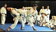 The Best And Most Technical Of Karate Masters - ANDRE BERTEL #shotokan