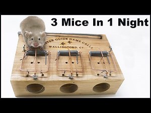 Mouse Triple - The Master Guide Game Calls Mouse Trap x 3 Mice. Mousetrap Monday