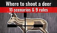 where to shoot a deer - 11 shot placement charts (where to aim)