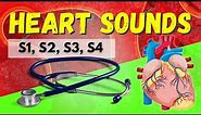 Heart Sounds Made Easy - S1, S2, S3, S4 and Murmurs (Systolic and Diastolic)