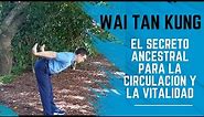 Secretos del Chi Kung: Impulsa tu Vitalidad y Circulación (Wai Tan Kung) 🤔