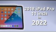 2018 11 inch iPad Pro in 2022 - The PERFECT iPad?!
