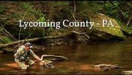 Fly Fishing a REMOTE Wild Trout Stream - Lycoming County, PA