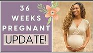 36 WEEKS PREGNANT // Pregnancy Update // BRAXTON HICKS, Pelvic Pain, EDEMA, Preparing for Birth