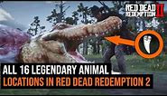 ALL 16 Legendary Animal Locations in Red Dead Redemption 2