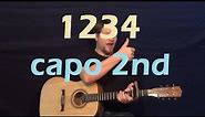 1234 (Feist) Guitar Lesson Easy Strum Chords How to Play Capo 2nd Fret