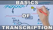 Overview of Transcription