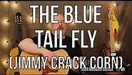 Kid Favorites: "The Blue Tail Fly (Jimmy Crack Corn)" (Guitar)