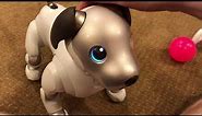 Sony Aibo ERS-1000 Unboxing!