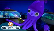 Octonauts - Colossal Squid & The Bowhead Whale | Cartoons for Kids | Underwater Sea Education
