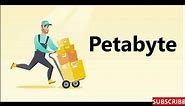 Petabyte : One Word Definition : What is Petabyte ?