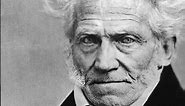 Schopenhauer contra Hegel