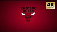 Chicago Bulls NBA Animated Logo Team Intro 4K Background