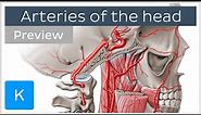 Arteries of the head: internal and external carotid arteries (preview) - Human Anatomy | Kenhub