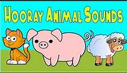 Hooray Animal Sounds | Nursery Rhymes | LittleKidsTV