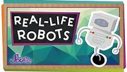 Real-Life Robots