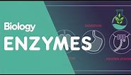 Enzymes | Cells | Biology | FuseSchool