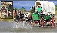 🐎 Rookie Horses TAKE OFF with Covered Wagon! 😱 | Old West Horse & Covered Wagon on MT Wagon Train