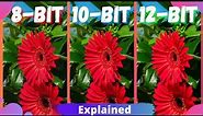 What is 10-Bit Color explained | 8-bit vs 10-bit vs 12-bit