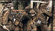 WW2: ''Panzer Division'' (Intense Footage)