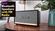 Top 3 Best Bluetooth Speakers with FM Radio in 2023
