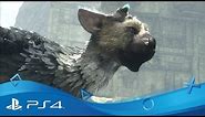 The Last Guardian | Launch Trailer | PS4