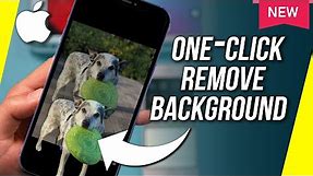 How to Remove Background from a Photo on iPhone - New iOS 16 Update