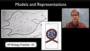 AP Biology Science Practice 1: Models and Representations