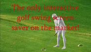 ModelPro Interactive perfect golf swing screen saver from ModelGolf