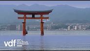 Shinto temple gates are "symbolic entrances into a new world" | One Minute Architecture | Dezeen
