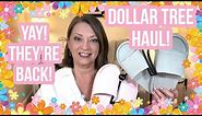 DOLLAR TREE HAUL | THEY’RE BACK | NEW FINDS | YAY | I LOVE THE DT😁 #haul #dollartree