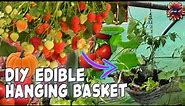 The Edible Hanging Basket - Grow Your Own Fruit and Vegetables Anywhere! #gardening