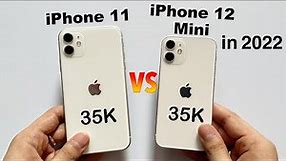 iPhone 12 Mini vs iPhone 11 in 2022🔥| Best iPhone To Buy Second Hand? (HINDI)