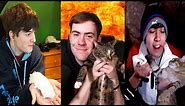 DREAM SMP MEMBERS AND THEIR PETS
