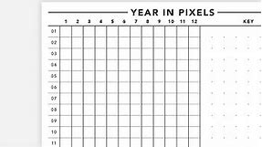 Year in Pixels