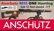 Anschutz 9015 ONE Hunting (First Look) Sub 12 foot pound PCP .177