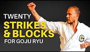 More Goju Ryu Basics (Twenty Strikes, Blocks and Punches)