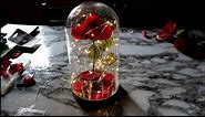 DIY Beauty and the Beast Enchanted Rose