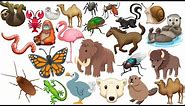 Mixed Emoji 90 - Animals 🦬🐎🪰🪳🦟🪲🦥🦞🦤🐻‍❄️🦩🪱🦨🦦🦫🐫🐪🦎🦋🕷️🐌🦭🦧🦣