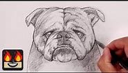 How To Draw a DOG | BULLDOG | Sketch Tutorial
