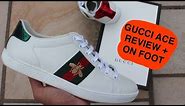 Gucci Ace Bee Sneakers Review + On Foot