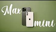 iPhone 12 mini vs iPhone 12 Pro Max Detailed Camera Comparison